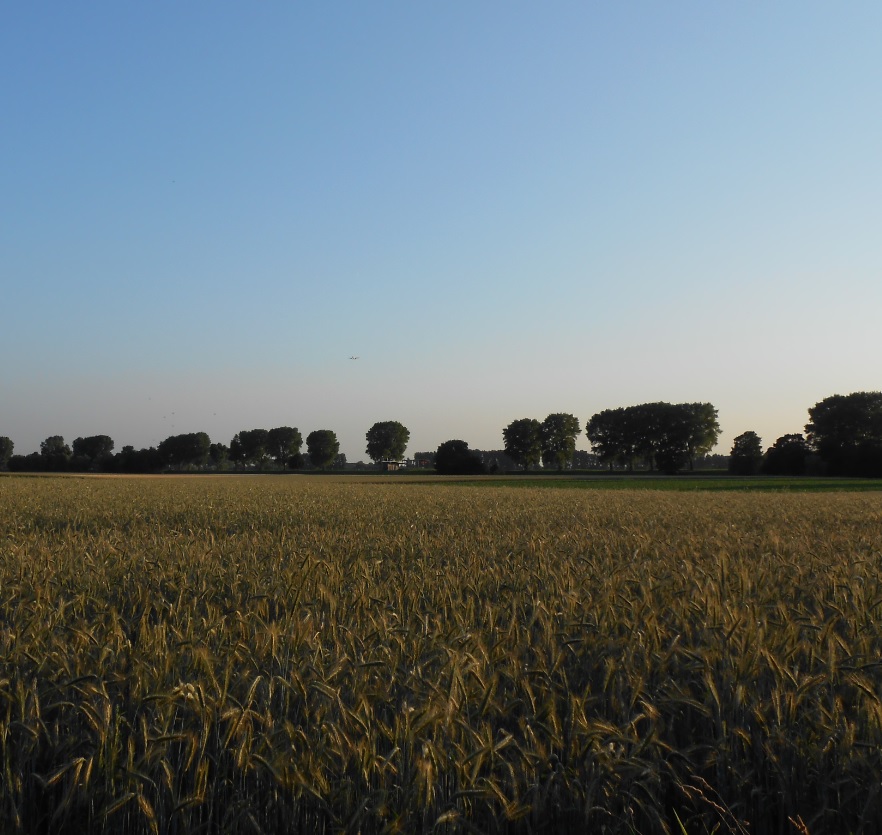 Kalipreise für Bauern interessant Kalipreise für Bauern interessant